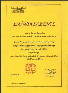 DD10004