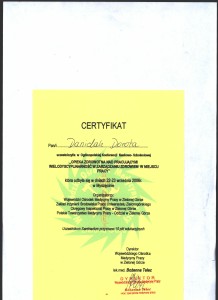 DD10013