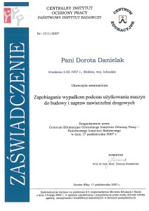 Maszyny do nawierzchni drogowych